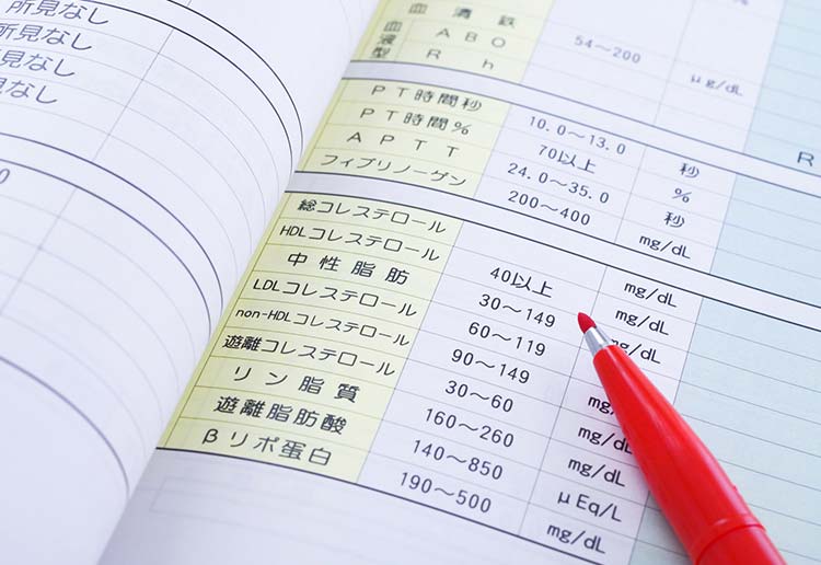 脂質異常症画像