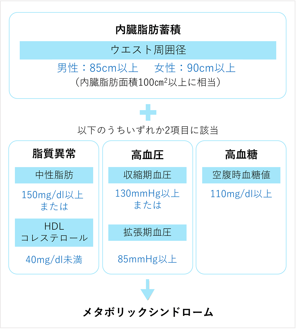 内臓脂肪とメタボリックシンドローム