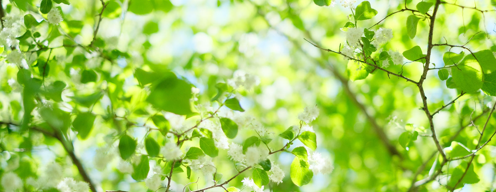 キービジュアルイメージ01